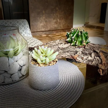 Luxury Ivon Aparthotel